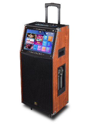 爵士龍F15便攜視頻音響機