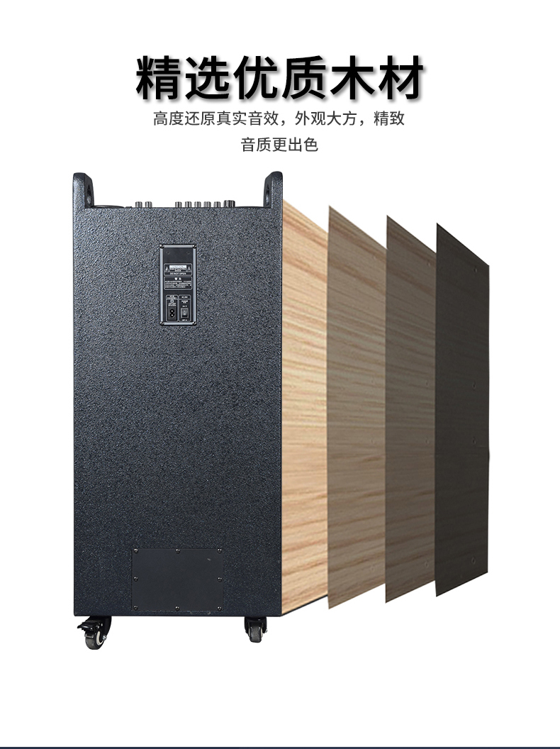 視頻拉桿音響2_03 視頻拉桿音響2_03